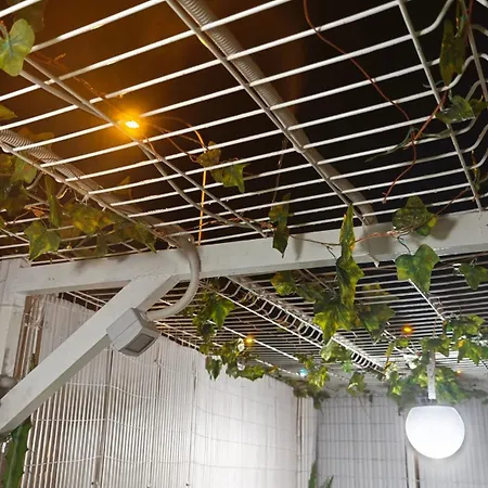 Dinastia1rbha * Los Cristianos (Tenerife)